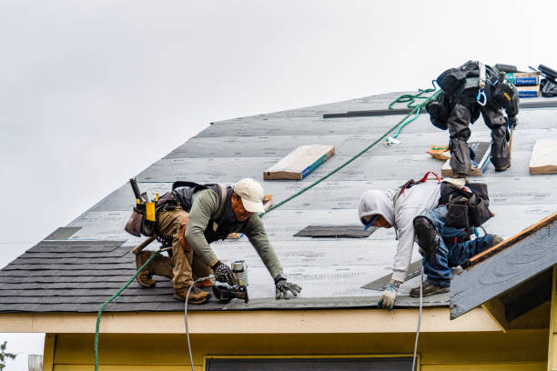 Professional Storm Damage Roof Repair technician working in Rockvale, CO